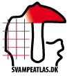 svampeatlas logo