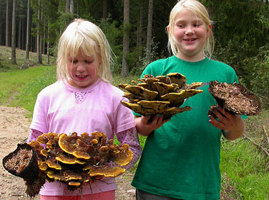 piger med svampe