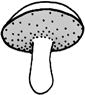 rørhat