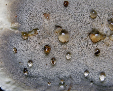 BjerkanderaAdus2-JHP-06.jpg